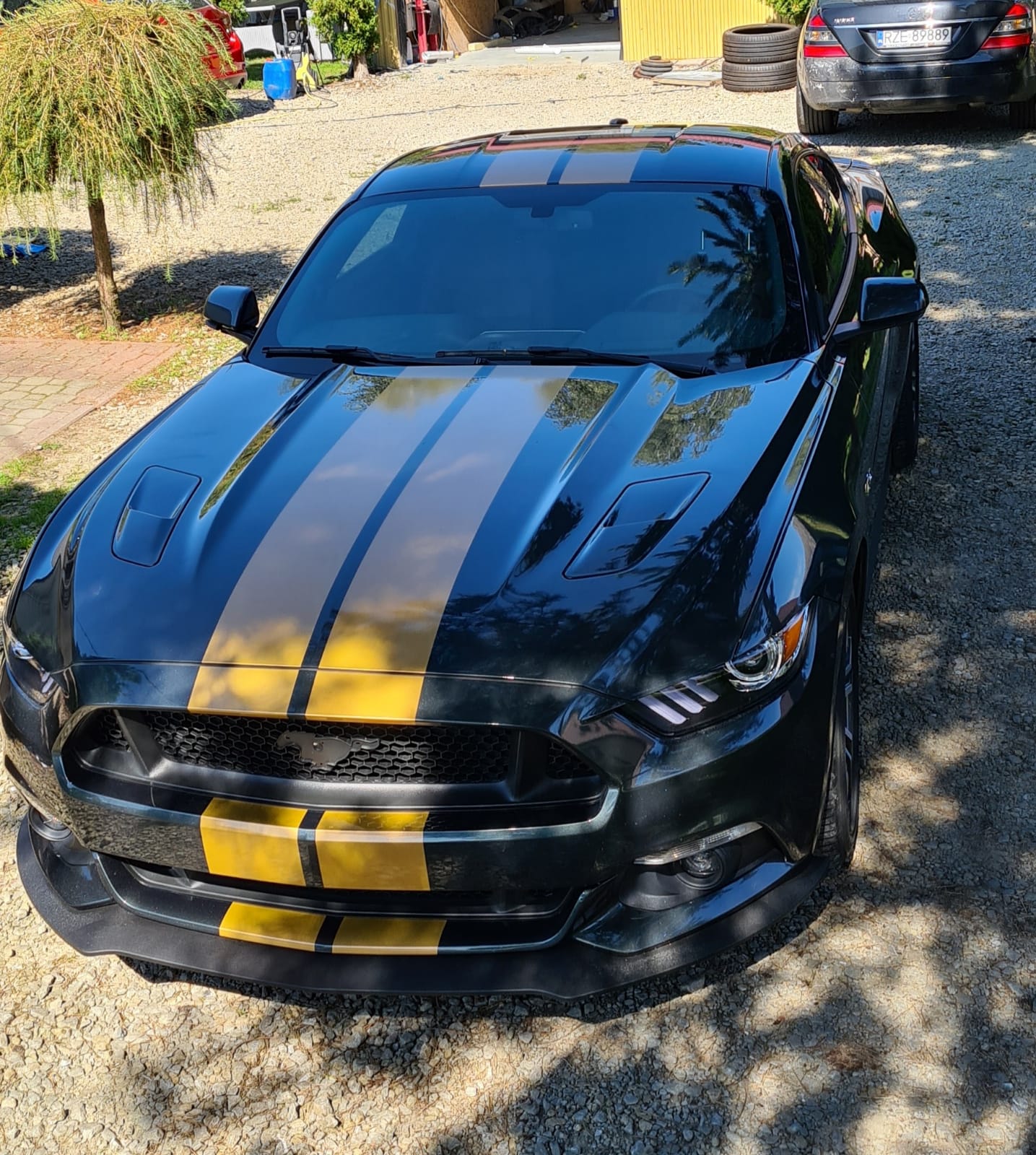 O nas – bimbo-shop.pl